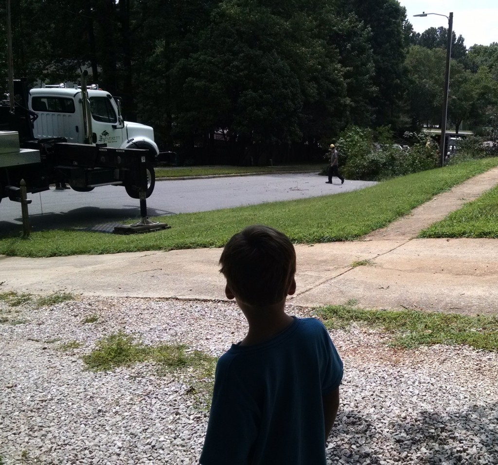 The tree is now in the front yard halfway into the chipper.